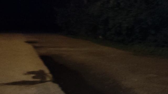 По ночному городку: молодёжь. К. Сазонова сказала про нелогичность введения европейских войск на UA