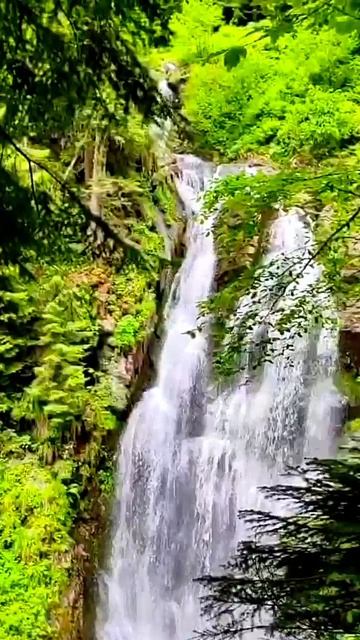 💦Водопад Чара💦 Экскурсия на Роза пик и парк водопадов Менделиха 🏞🏔