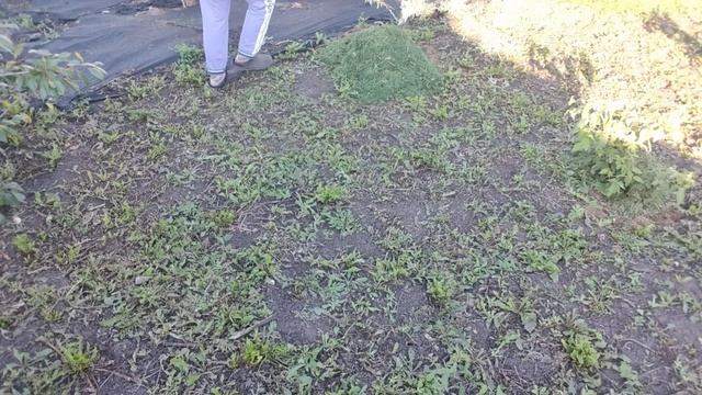 Будущий блогер  по пути к Ларисе  работают все 