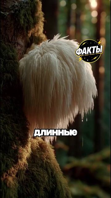 10 фактов часть 80