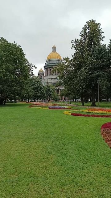Бассет: к МЕДНОМУ ВСАДНИКУ...