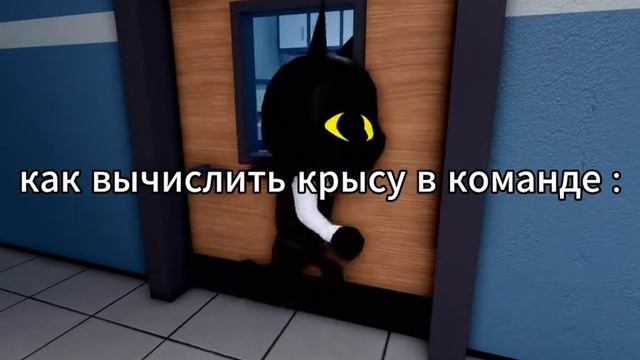 Всем спокойной ночи мои сладкие котята