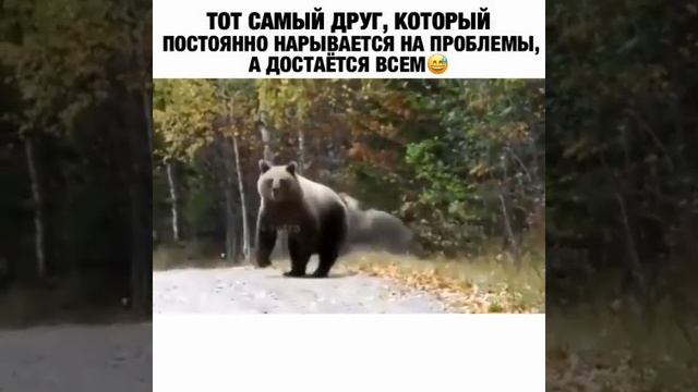 #смех#юмор#топ#рекомендации