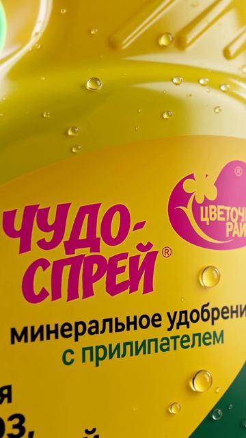 розы удобрения