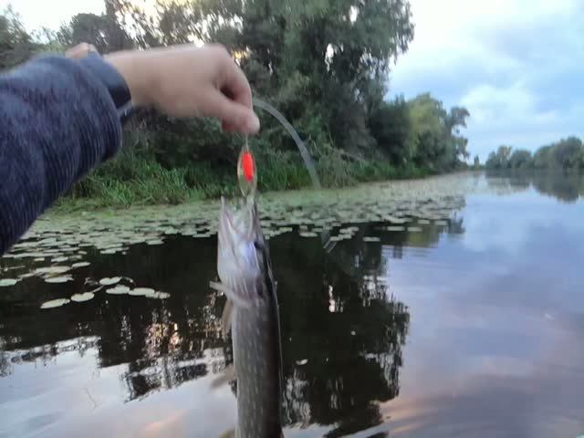 25.08.26