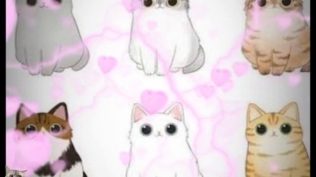 Котикииииии😍😍😍😍😍😍