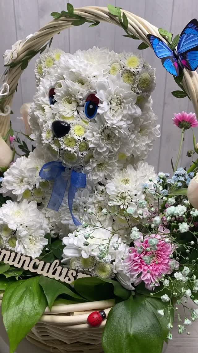 Вы видели белого медведя из живых цветов? 🐻🌸