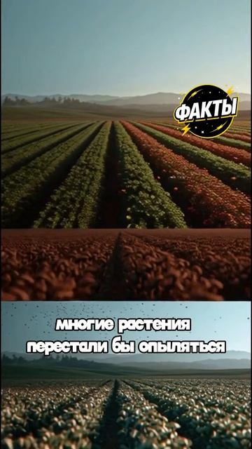 10 фактов часть 63