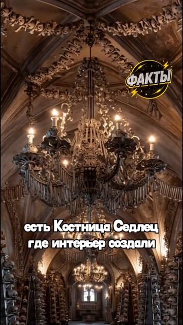 10 фактов часть 37