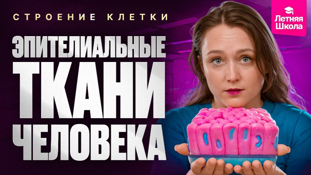 1. Строение клетки. Эпителиальные ткани человека | Stepenin.ru