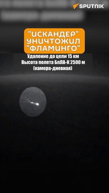 «Искандеры» уничтожили место запуска украинских ракет «Фламинго»