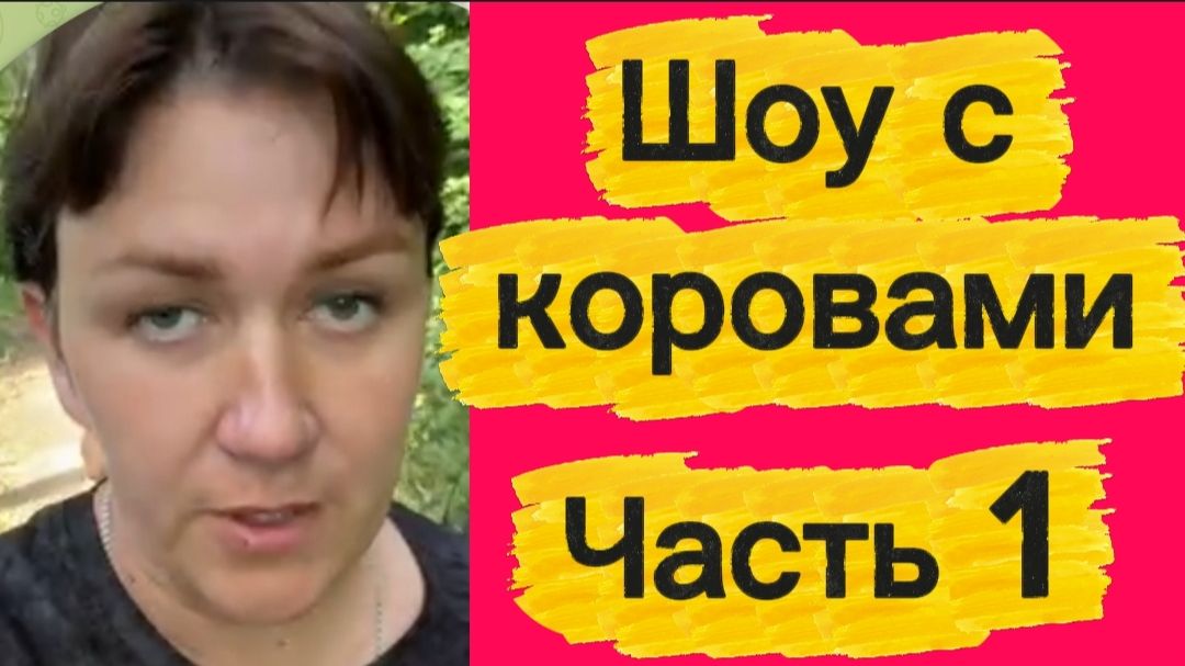 Мышиная поездка в Москву.