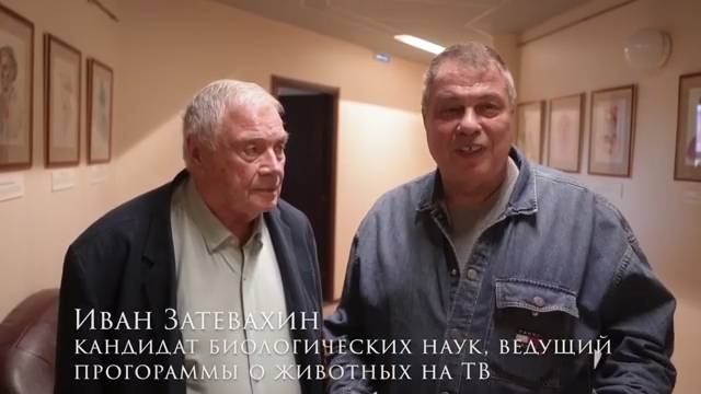 Рубрика отзывы