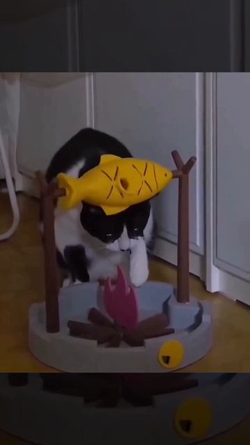 Кошечки)
