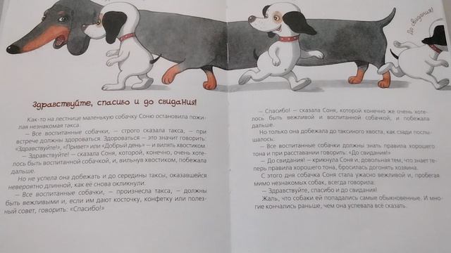 Собачка Соня. Здравствуйте, спасибо и до свидания