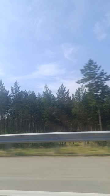 Объездная в лесу 😀