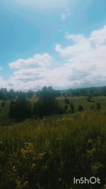 Эх, деревня деревенька... ✨🌿🌻