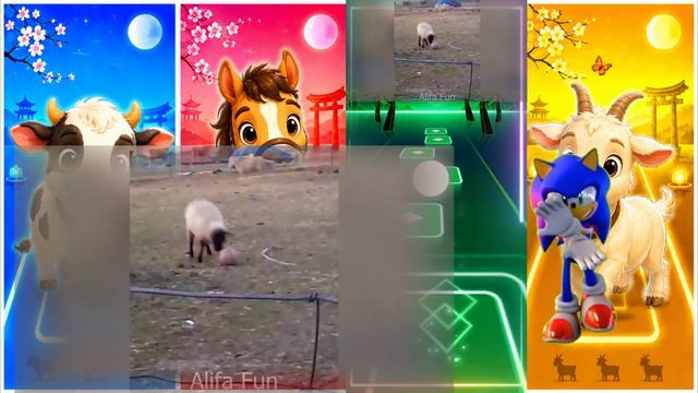 Малыши Зверята на Ферме! 🐮🐑 Тайлы Хоп ЭДМ Раш! Теленок, Барашек, Козочка и Жеребенок Танцуют! 🎶