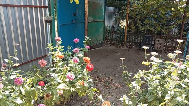 Я папарацци. Приехали с краном ремонтировать воду. Жалоба на президентский сайт. Юг России🌴