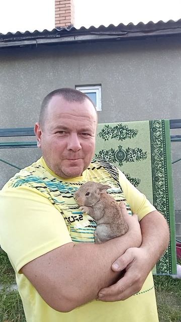 кролики