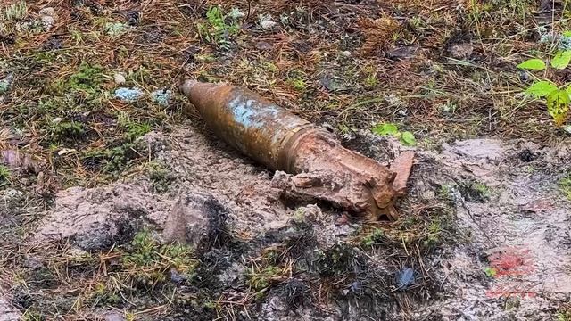 В лесу Падунского района обезвредили артиллерийский снаряд