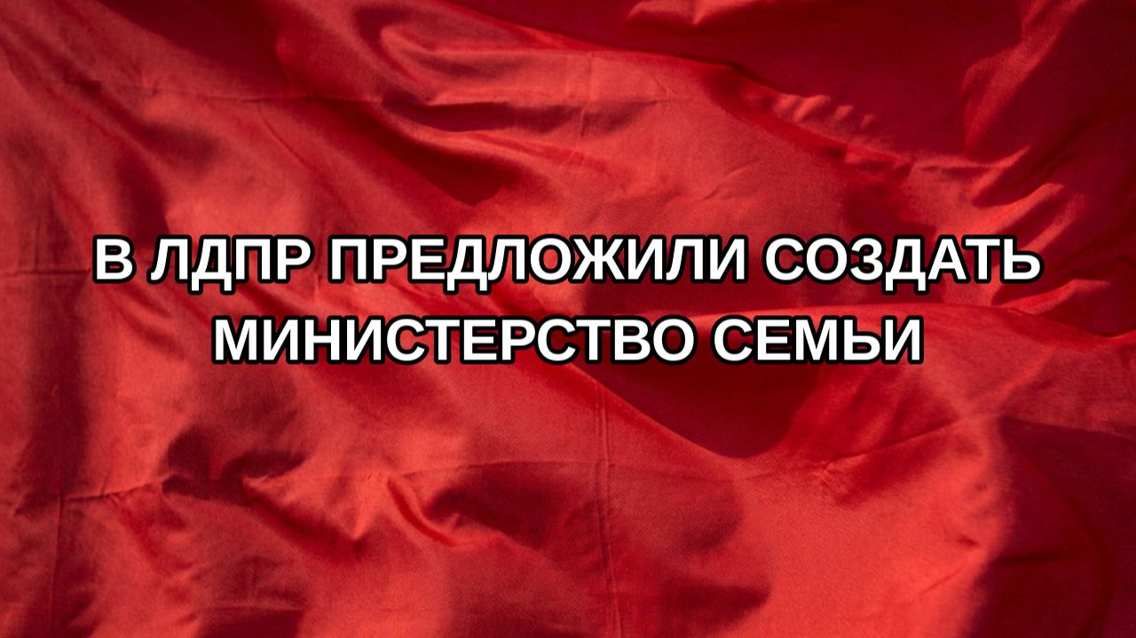 В ЛДПР предложили создать министерство семьи