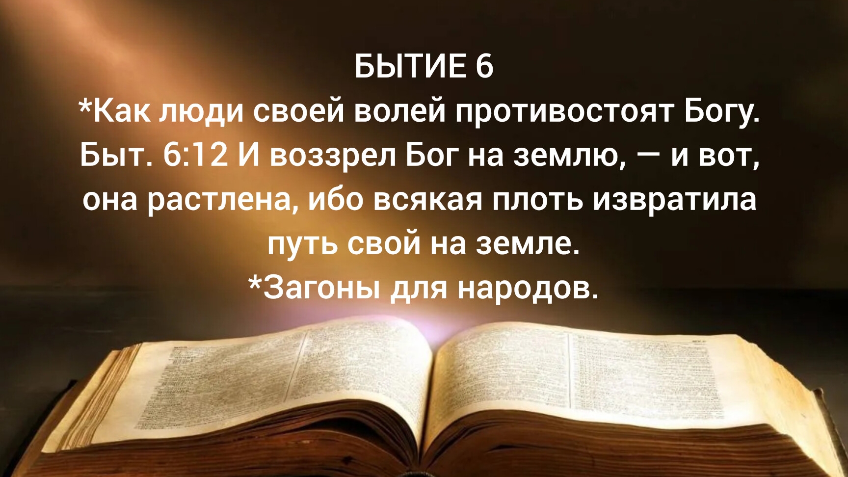 И воззрел Бог на землю, — и вот, она растлена, ибо всякая плоть извратила путь свой на земле.