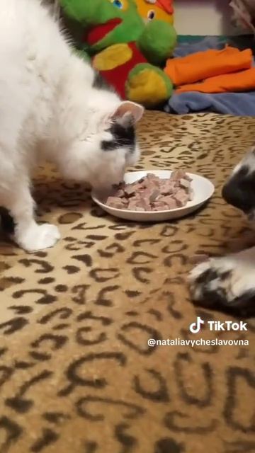 Кто не работает, тот ест...)))