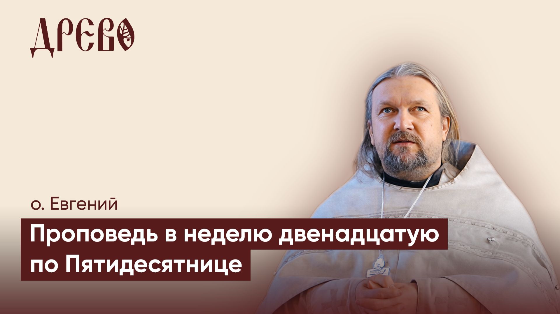 Почему вы не в белом?  о. Евгений Гуреев  ДРЕВО
