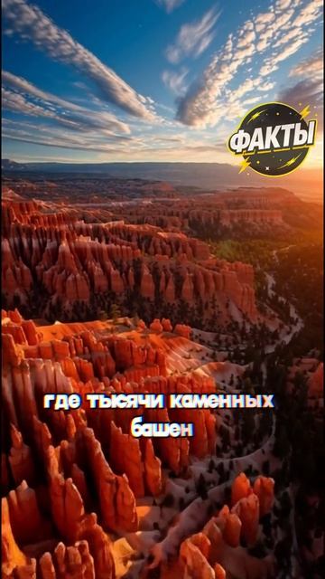 10 фактов часть 59