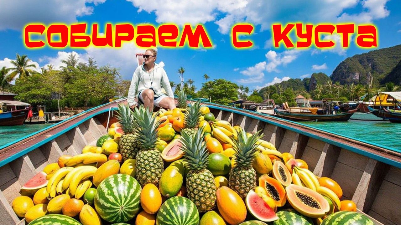 Дары природы халява