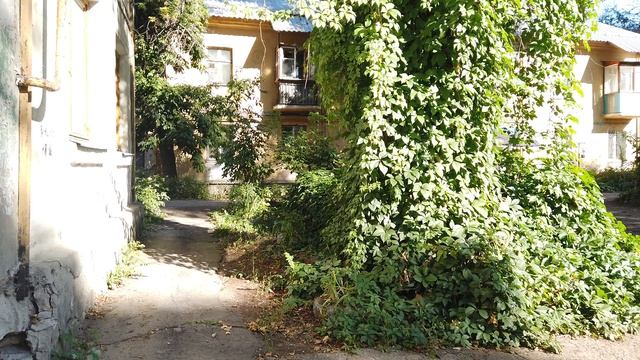 Самара101