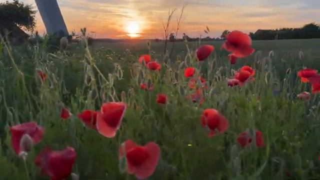 МЫ СЛАВЯНЕ - современная славянская музыка