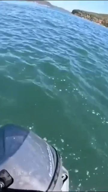 Бывает же такое... 😯
