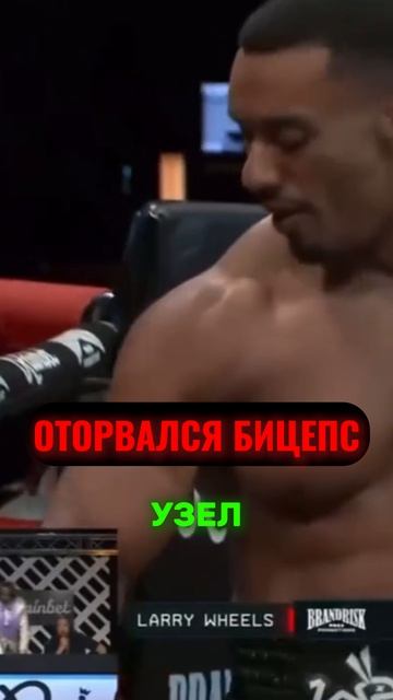 Ужасный финал боя Ларри Уилса и Виталия
