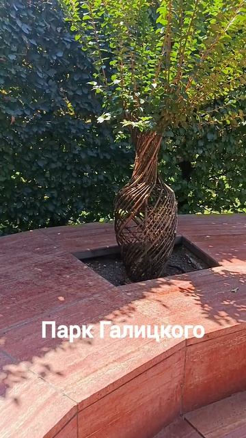Парк Галицкого