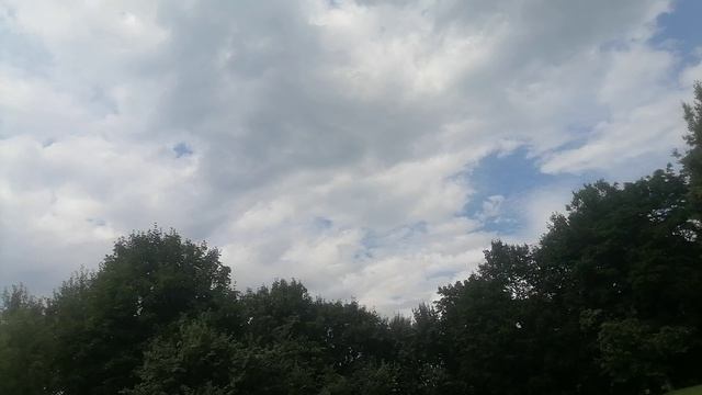 Интервью
