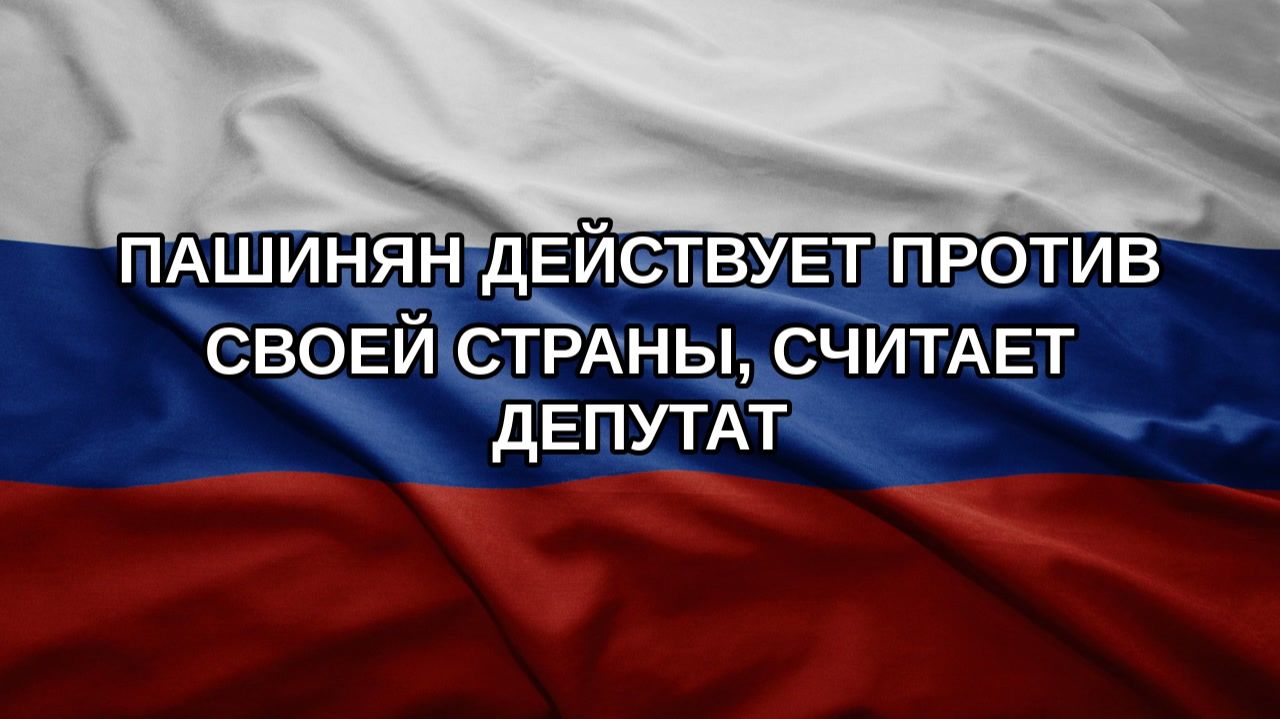 Пашинян действует против своей страны, считает депутат