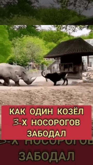 БЫВАЕТ