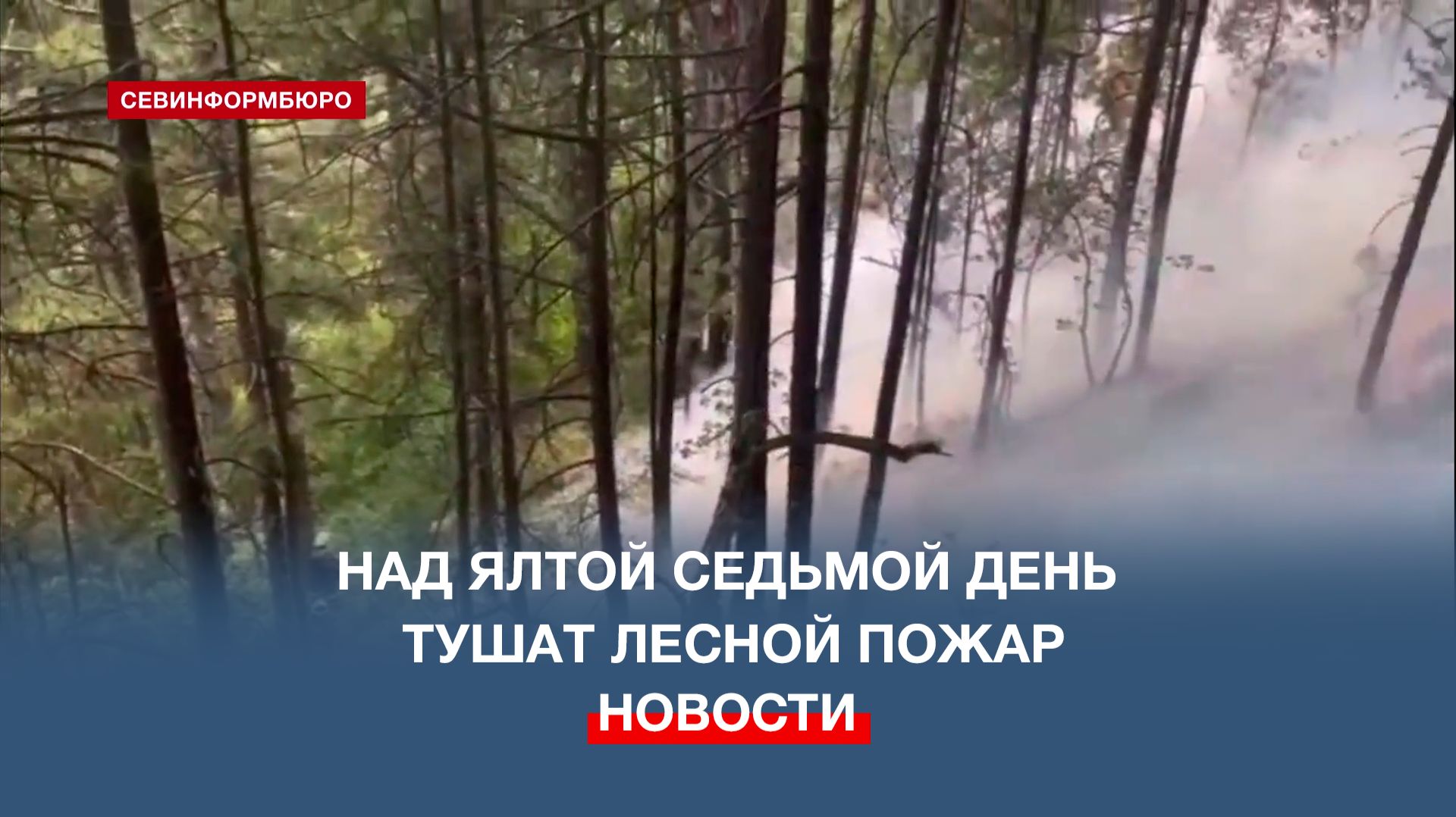 Над Ялтой седьмой день тушат лесной пожар