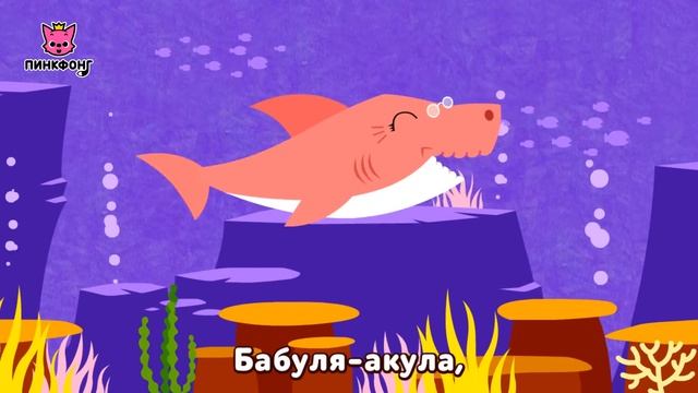 Акулёнок | Песни про Животных | Пинкфонг Песни для Детей