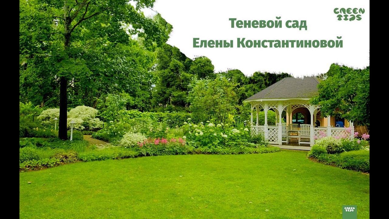 Теневой сад Елены Константиновой | Проект GreenTips Елены Турчак
