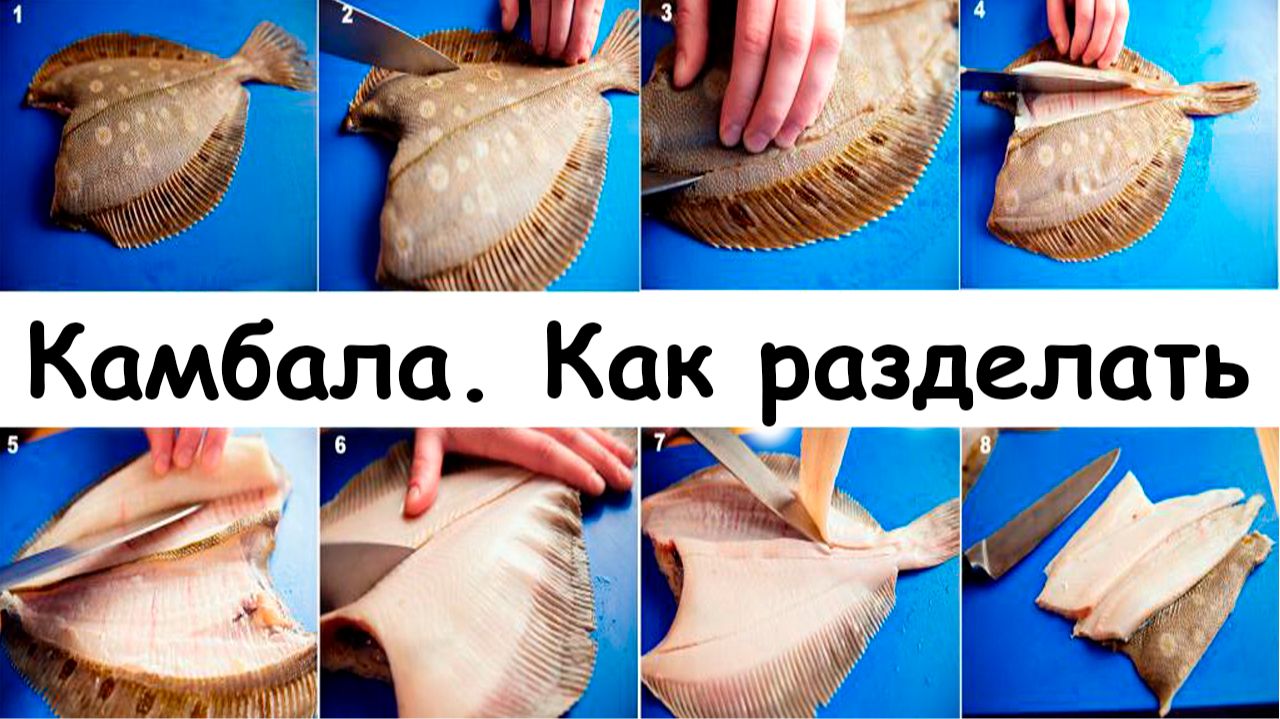 Камбала. Как разделать