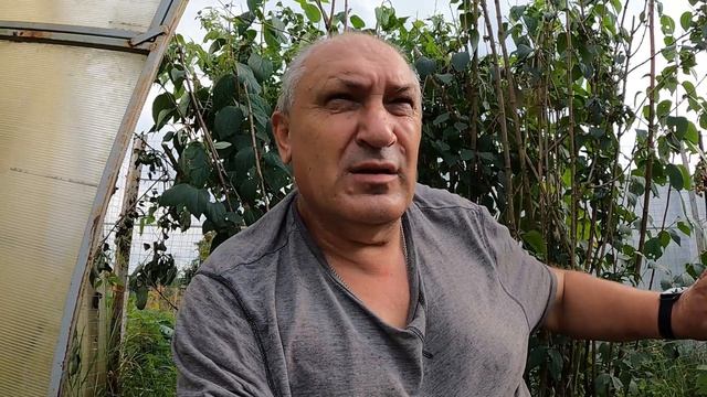 Выбрали картошку Обрезали летнюю малину