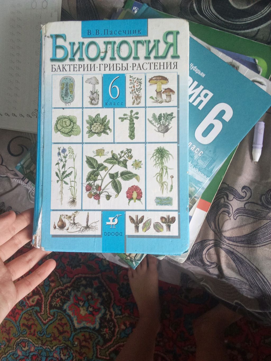 расхломление подготовка к школе