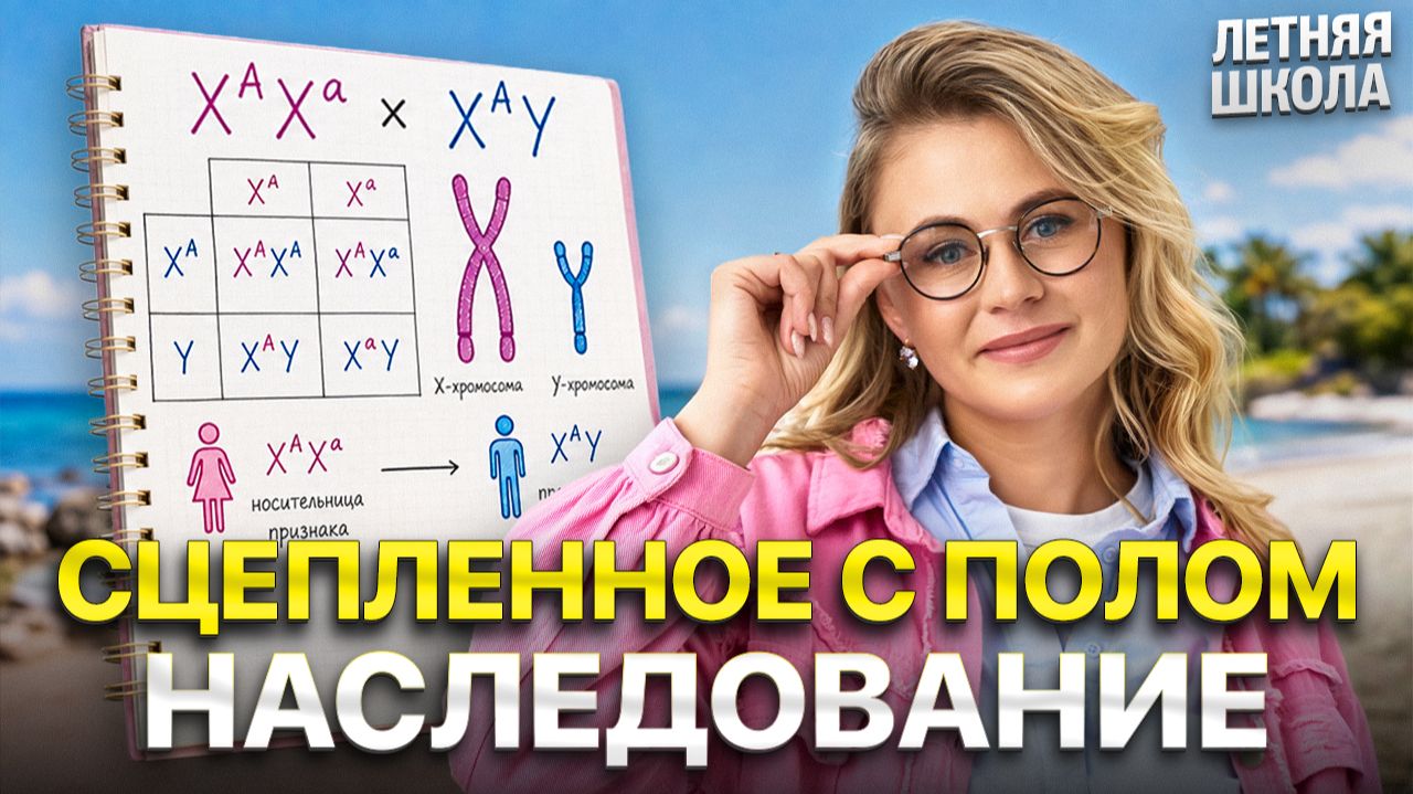 Сцепленное с полом наследование | Летняя школа по биологии | ЕГЭ 2027 | Ксения Напольская