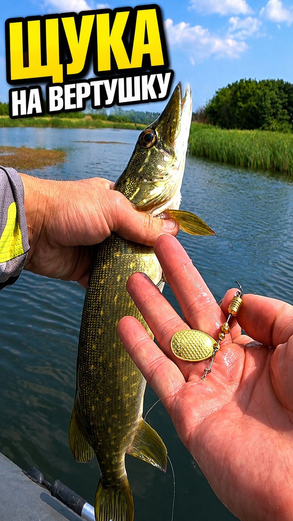 Рыбалка на щуку с блесной AQUA ESTI COMET №2  #fishing