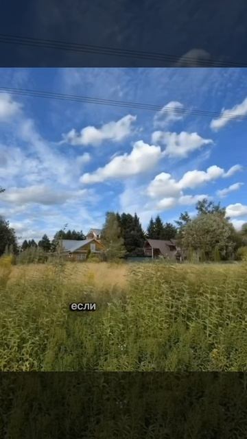 Рост в отношениях