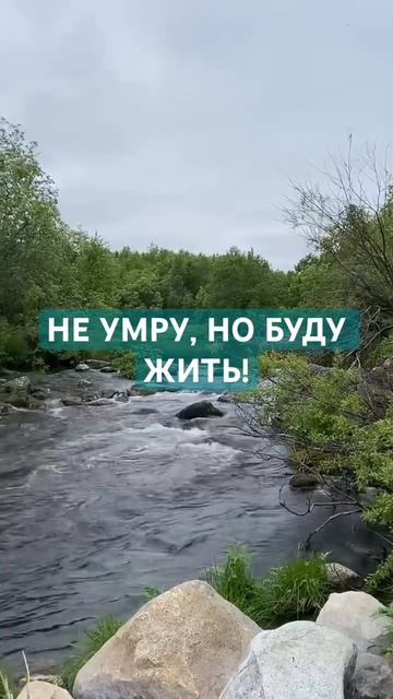 НЕ УМРУ