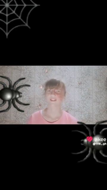 🕷🕸🕸🕷🕷